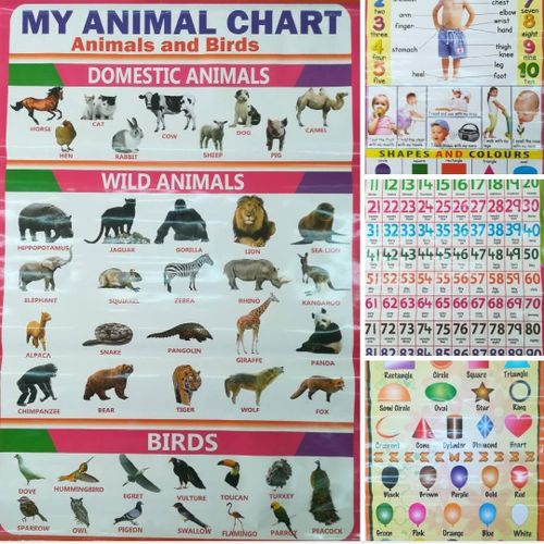 5pcs Educational Wall Charts for Kids ✨
Alphabets • Numbers • Shapes & Colours • Animals • Body Parts
Make learning fun, visual, and engaging with this colorful educational chart set—perfect for early