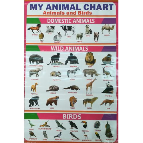 5pcs Educational Wall Charts for Kids ✨
Alphabets • Numbers • Shapes & Colours • Animals • Body Parts
Make learning fun, visual, and engaging with this colorful educational chart set—perfect for early