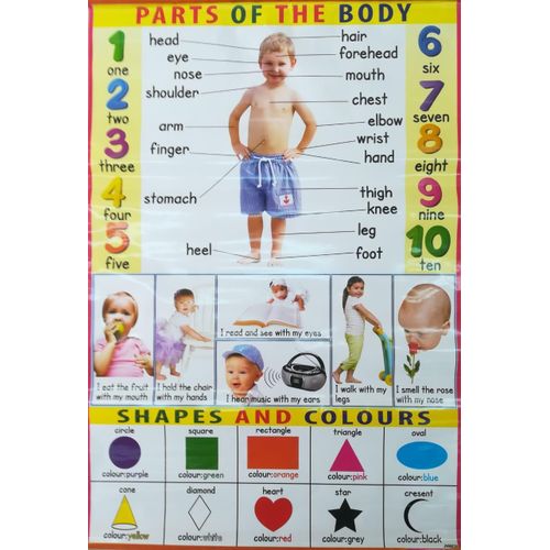5pcs Educational Wall Charts for Kids ✨
Alphabets • Numbers • Shapes & Colours • Animals • Body Parts
Make learning fun, visual, and engaging with this colorful educational chart set—perfect for early