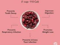PURE ORGANIC CRANBERRY ( dry )