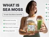 PURE ORGANIC SEA MOSS POWDER