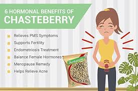 CHASTEBERRY EXTRACT POWDER