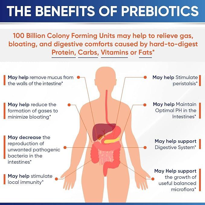 Raw Probiotic 100 Billion CFU with Prebiotics & Digestive Enzymes - 30 capsules
