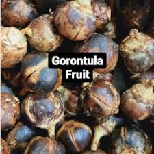 Organic GORON TULA NUTS SEEDS  Miracle Fruit: Boost Feminine Libido, Balance Hormones, and Support Natural Vaginal Lubrication for Enhanced Intimacy and Wellness.