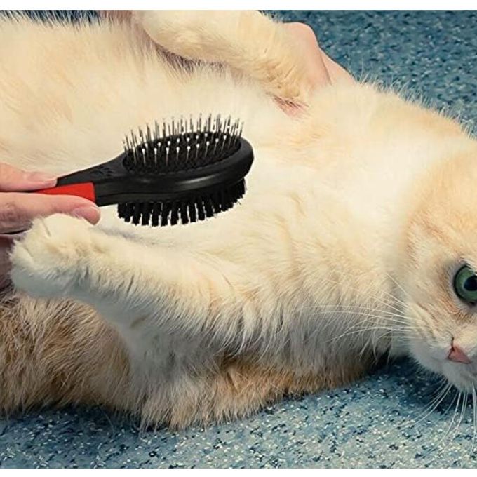 2 in 1 Cat & Dog Grooming Brush / Pet Hair Remover