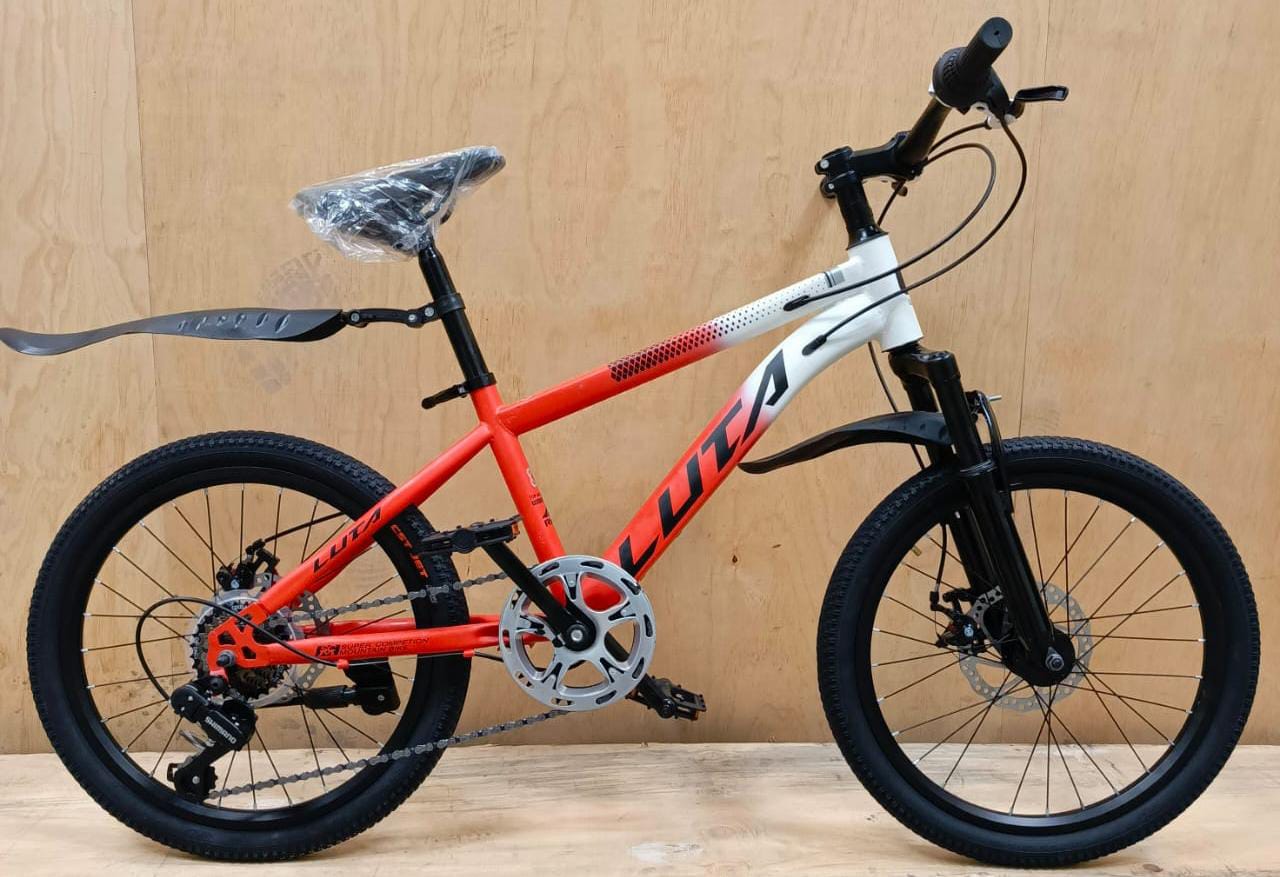 Luta mountain bikes size 20   
                                                    with different colorsBlue
Green
Red
Grey, featuring sturdy  wheels and comfortable seat for beginners