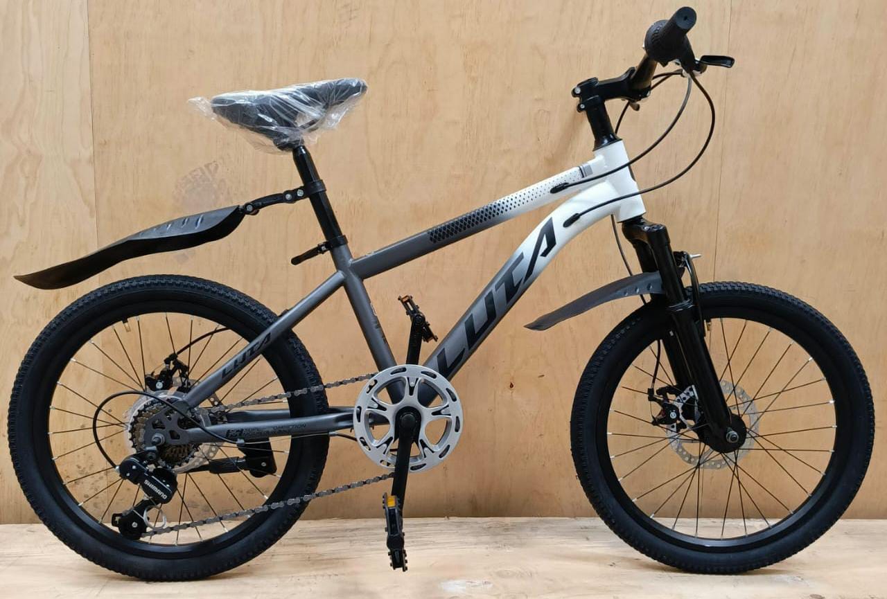 Luta mountain bikes size 20   
                                                    with different colorsBlue
Green
Red
Grey, featuring sturdy  wheels and comfortable seat for beginners