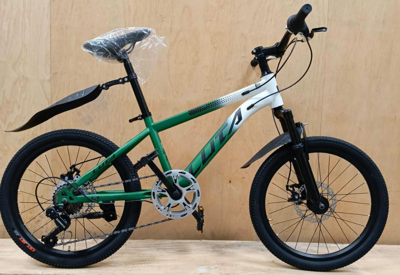 Luta mountain bikes size 20   
                                                    with different colorsBlue
Green
Red
Grey, featuring sturdy  wheels and comfortable seat for beginners