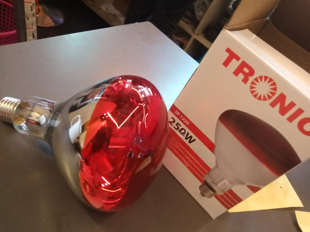 Chicken Bulb Heat Lamp – Poultry Brooder Bulb for Chicks, Ducklings & Quails. Aa reliable heat source designed to keep chicks and young poultry warm during brooding.