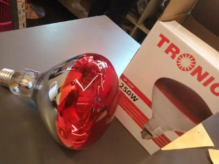 Chicken Bulb Heat Lamp – Poultry Brooder Bulb for Chicks, Ducklings & Quails. Aa reliable heat source designed to keep chicks and young poultry warm during brooding.