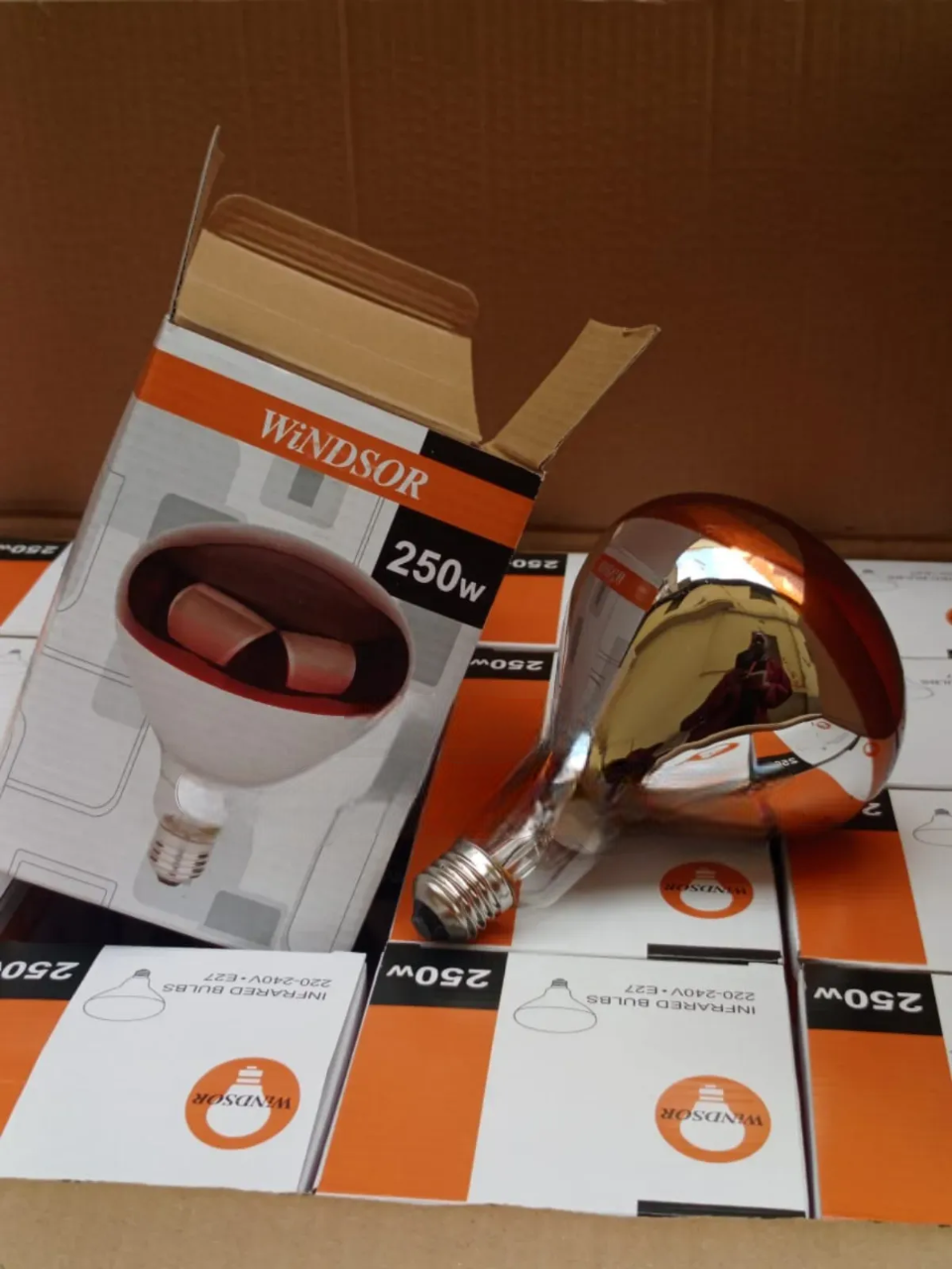 Chicken Bulb Heat Lamp – Poultry Brooder Bulb for Chicks, Ducklings & Quails. Aa reliable heat source designed to keep chicks and young poultry warm during brooding.