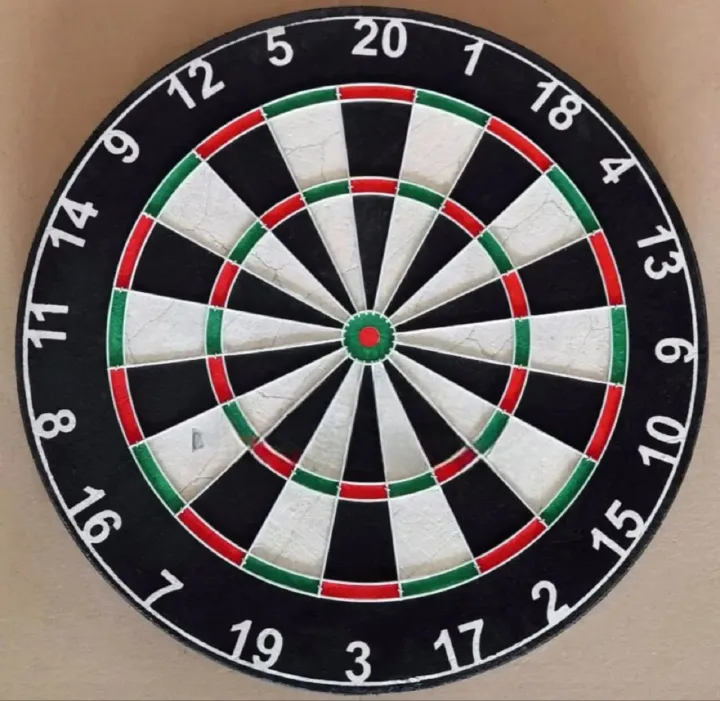17 Inch Dart Game Set – Professional Bristle Dartboard with 6 Steel Tip Darts | Indoor Outdoor Wall Mount Target Board for Home, Office & Bar Games