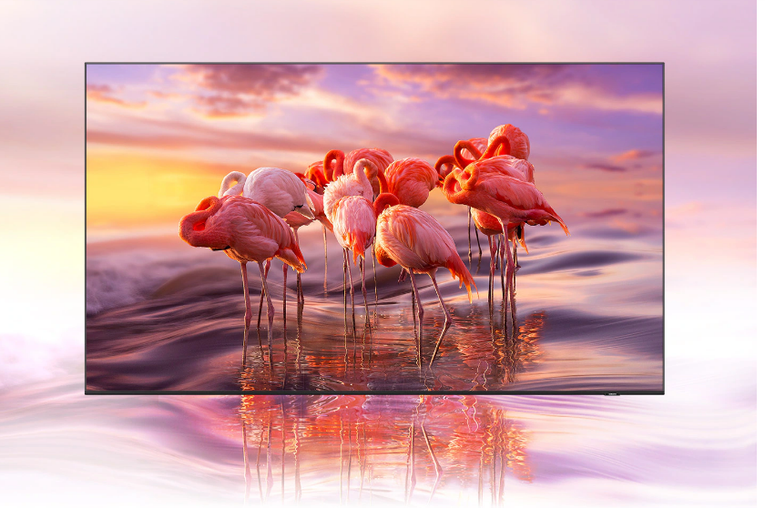 Samsung QA55Q60DAU 55-Inch QLED 4K UHD Smart TV – Quantum Dot Technology, HDR, Dual LED, AirSlim Design & Smart Hub