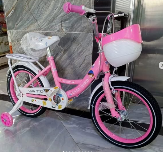 :

🔥 12-Inch Girls’ Kids Bike – Pink & White Toddler Bicycle with Training Wheels, Basket & Bell – Ideal for 2-5 Year Olds, Lightweight & Safe Ride for Beginners