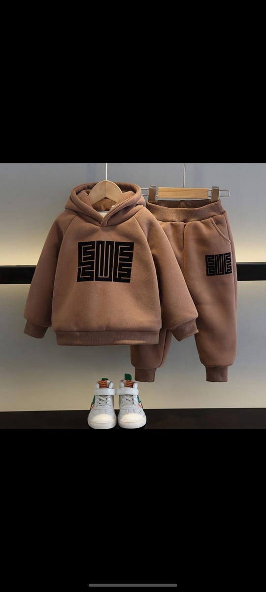 Fashion 2pcs  Padded And Thickened Hooded Sweatshirt Set