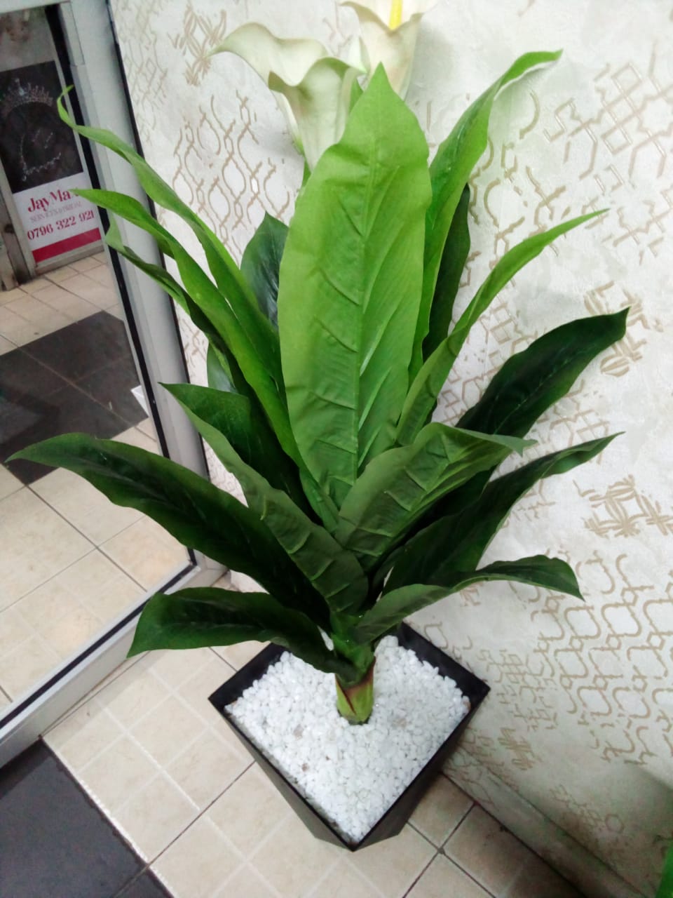 Flowered orange plant with vase and white stones 1.2m long