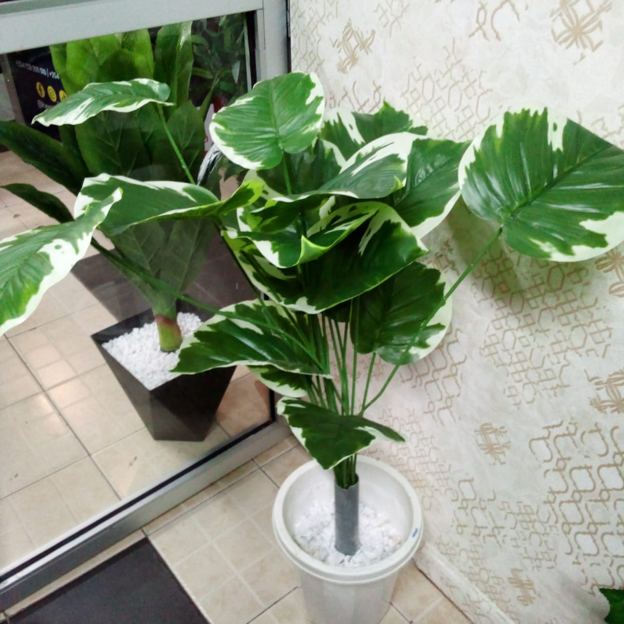 Green patched plant 4 feet with vase and white pebble stones