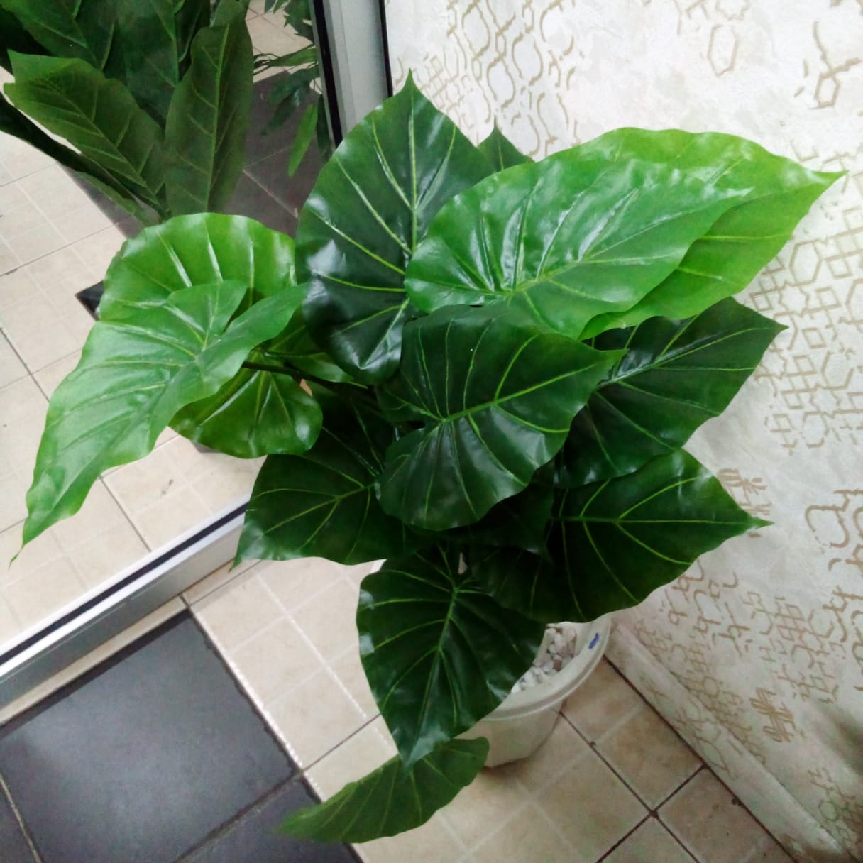 Plain green flower 80cm with vase and white stones