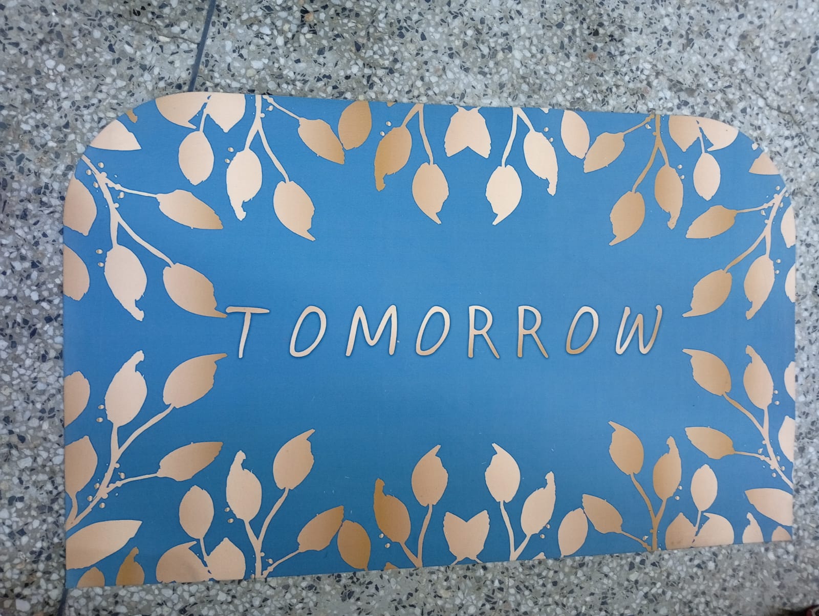 DOOR MATS. Rubber doormats, soft and comfortable, super absorbent, anti-skid and not easy to move, Instantaneous super absorbent water can be dried immediately without repeated wiping.