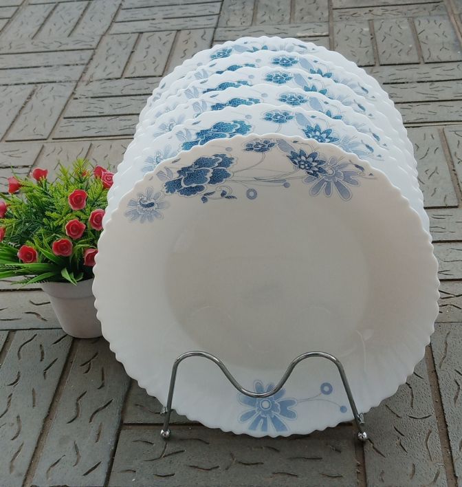 🍽️ Kitchen & Dining Essential! 10-Inch Ceramic Plates — Perfect for Everyday Use