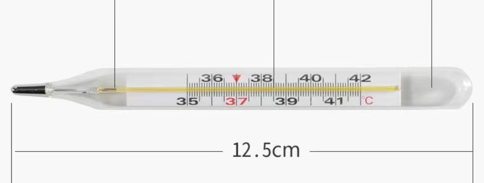 Internal Standard Large Glass Thermometer Mercury Thermometer Underarm oral Thermometer ° C & ° F Scale