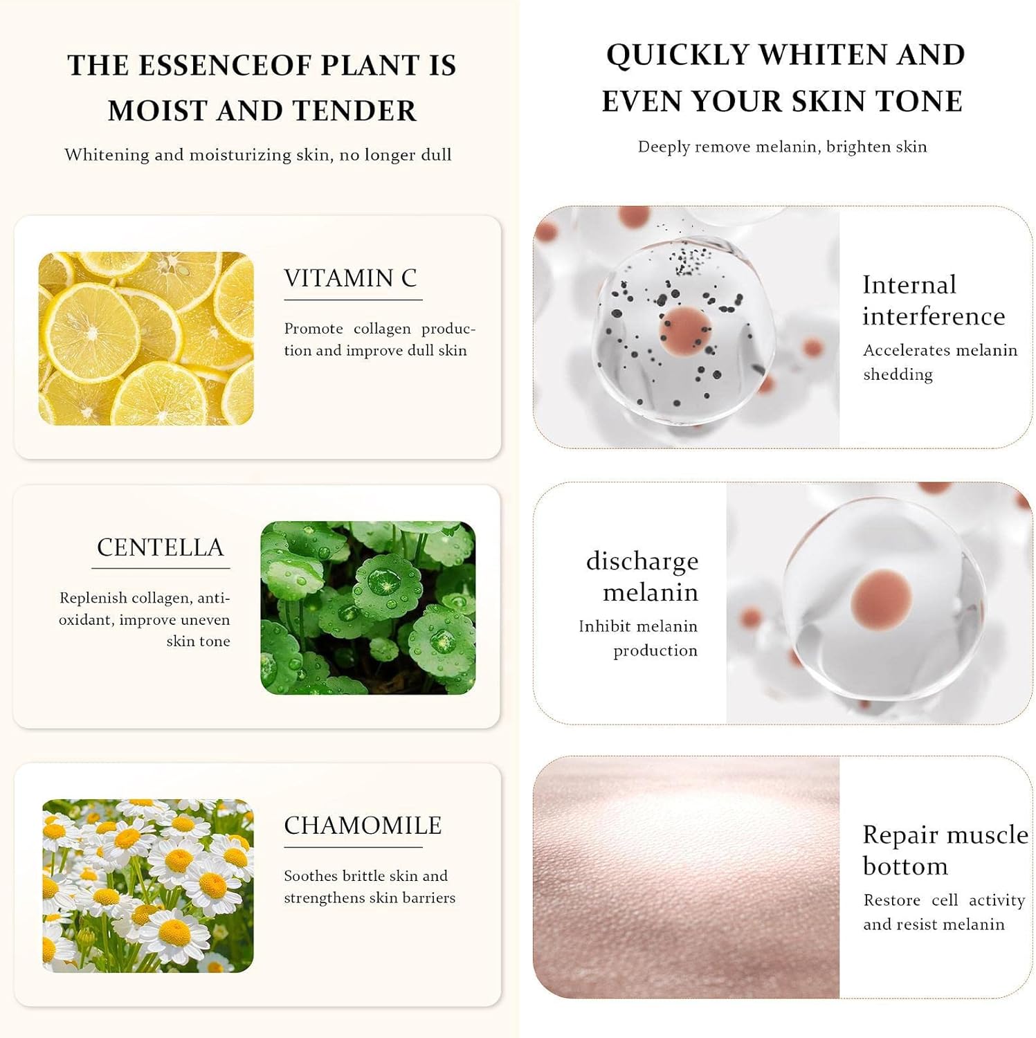Whitening Cream for Intimate Area, Bleaching Cream for the Intimate Area for Women - 60 g Skin Bleach for Sensitive Areas in Women, Dark Inner Thighs and Intimate Area Pologmase