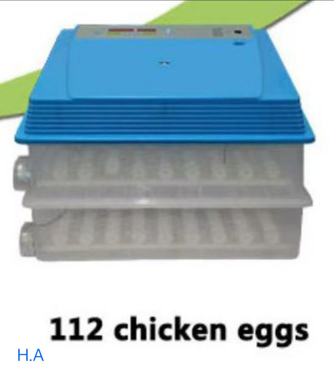 Incubator 112  Egg Automatic AC / DC