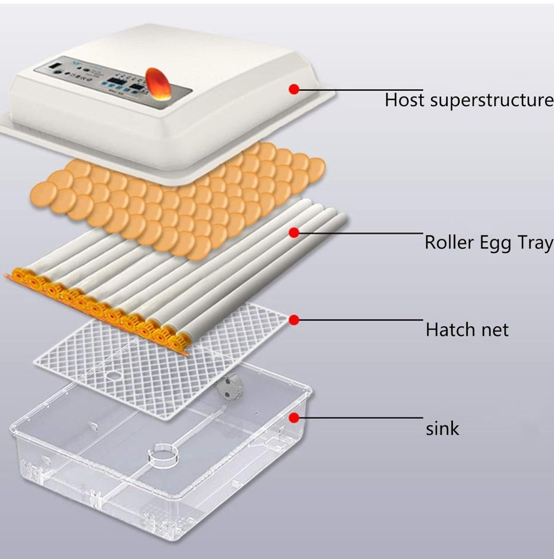 Incubator 112  Egg Automatic AC / DC