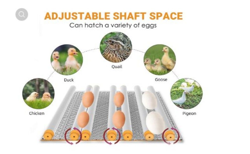 112 Egg incubator Full Automatic AC DC