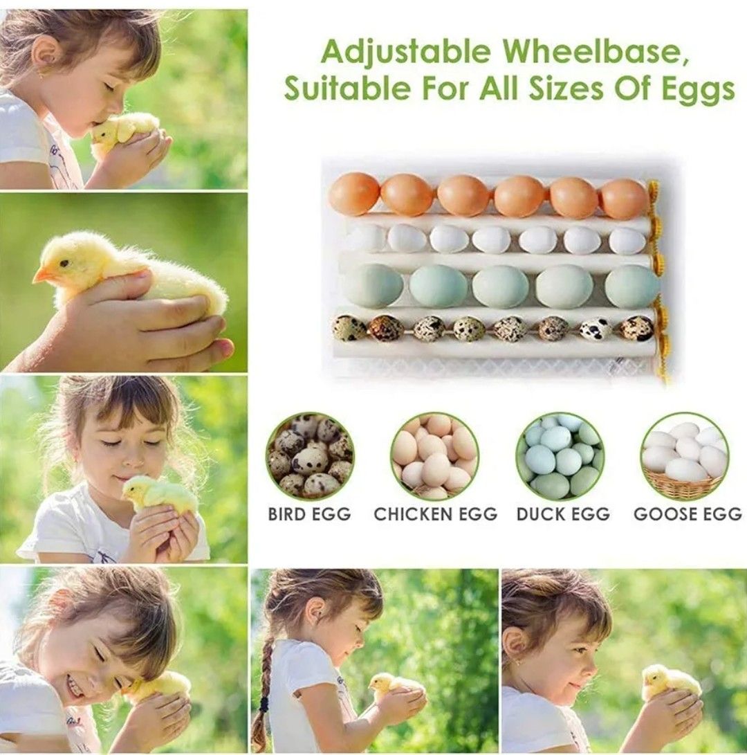 112 Egg incubator Full Automatic AC DC