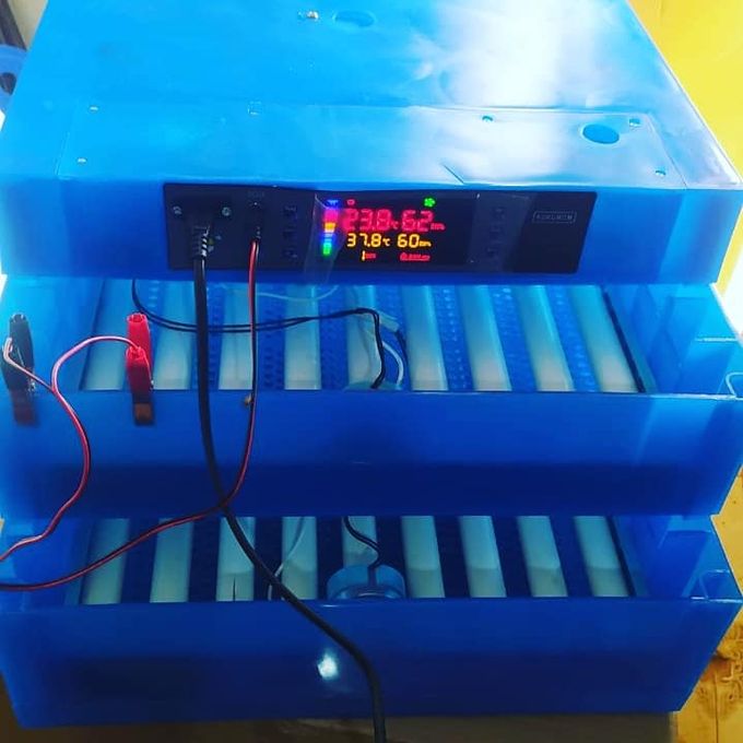 128 Eggs Capacity AC/DC Fully Automatic Incubator - Blue