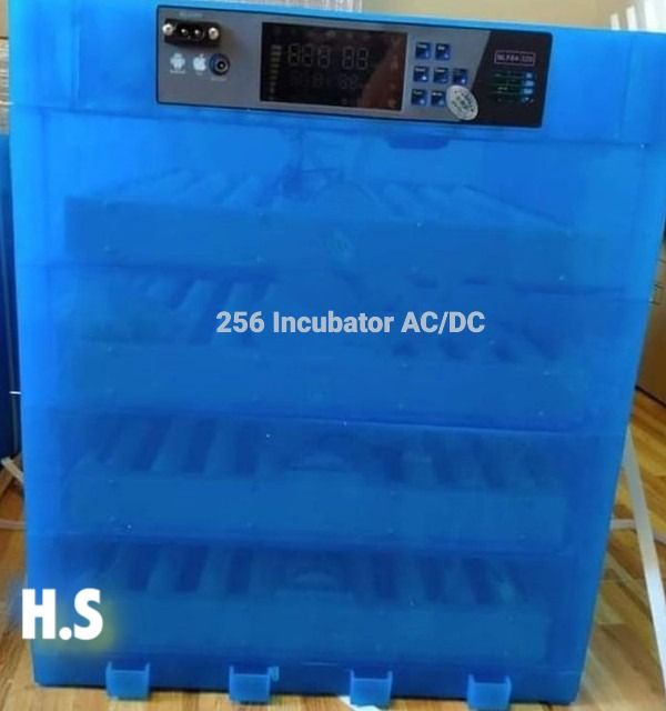 256-Eggs Full Automatic Egg Incubator-AC/DC