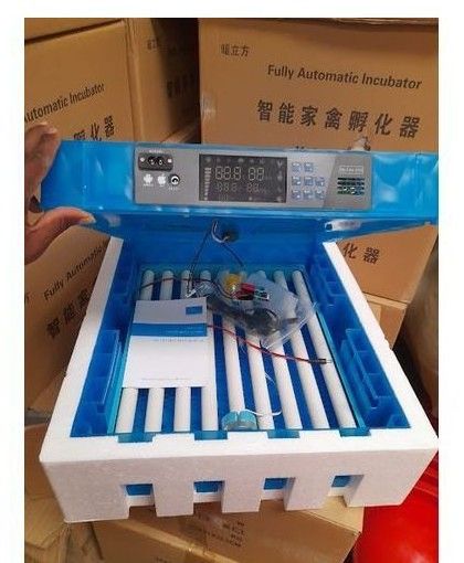 64 Eggs Capacity AC/DC Full Automatic Incubator