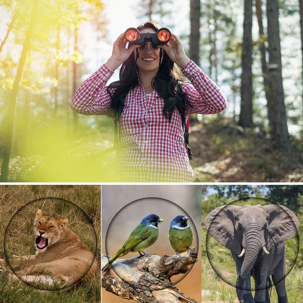 High Clarity Telescopes 60X60 Binoculars 3000M Powerful Optical Lens Bak4 Prism Night Vision For Outdoor Hunting Sports Camping