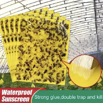 20pcs Strong Fruit Fly Traps Bugs Yellow Sticky Board Pest Control Insect Killer Two-sided Glue Paper Trap For Kill Pests