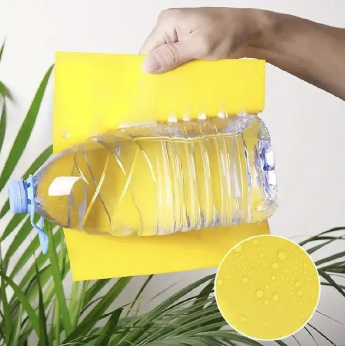 20pcs Strong Fruit Fly Traps Bugs Yellow Sticky Board Pest Control Insect Killer Two-sided Glue Paper Trap For Kill Pests