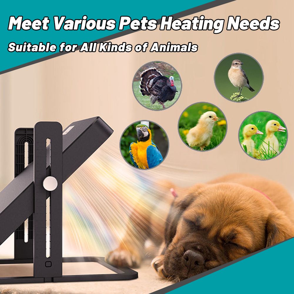 Small Brooding Kiosk With Pet Heating Heating Plate Safety Temperature Control Intelligent Chicken Heater