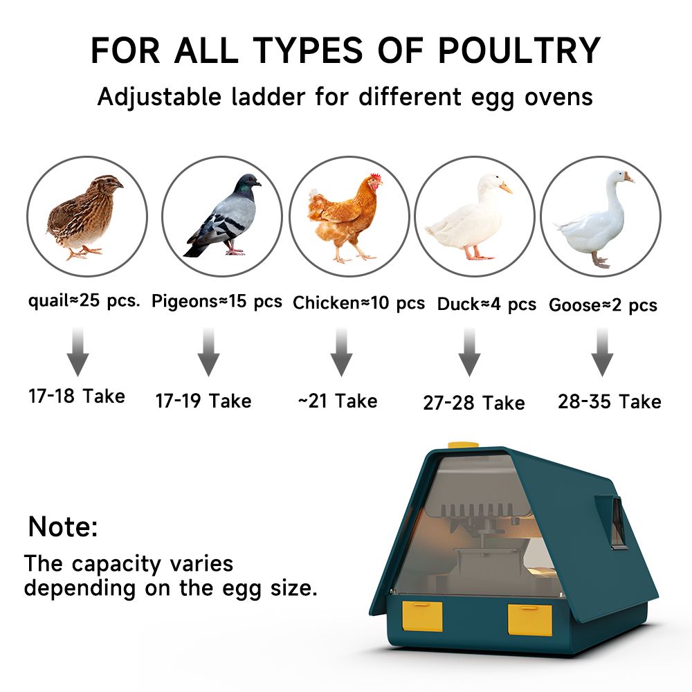 10 Eggs Incubator Intelligent Thermostatic And Automatic Turnover Poultry All-in-One Machine for Hatching Chicken