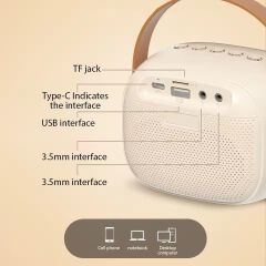 Karaoke Machine Mini Wireless Microphone and Speaker Set with 2 Microphones 4Ω 6W Speaker 8W Horn 1200mAh Speaker Battery