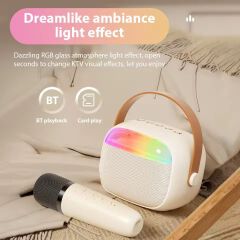 Karaoke Machine Mini Wireless Microphone and Speaker Set with 2 Microphones 4Ω 6W Speaker 8W Horn 1200mAh Speaker Battery
