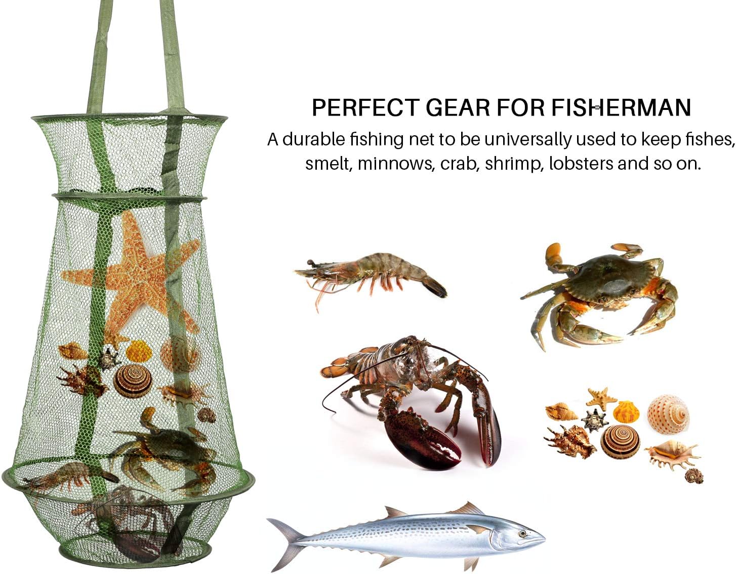 Play Video







VIDEO
Transparent Top Cover Fishing Bucket, Foldable Fish Bait Bucket, Multifunctional Minnow Bucket, Live Fish Container, Fish Protection Bucket, Outdoor Camping Fishing Bag.
