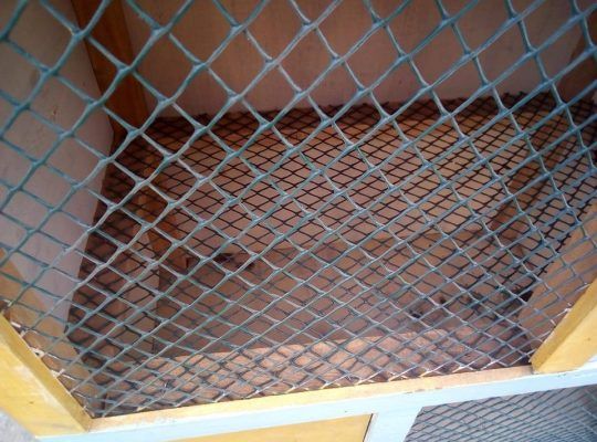 plastic Chicken mesh - 1Metre x 1 metre/ plastic durable chicken mesh