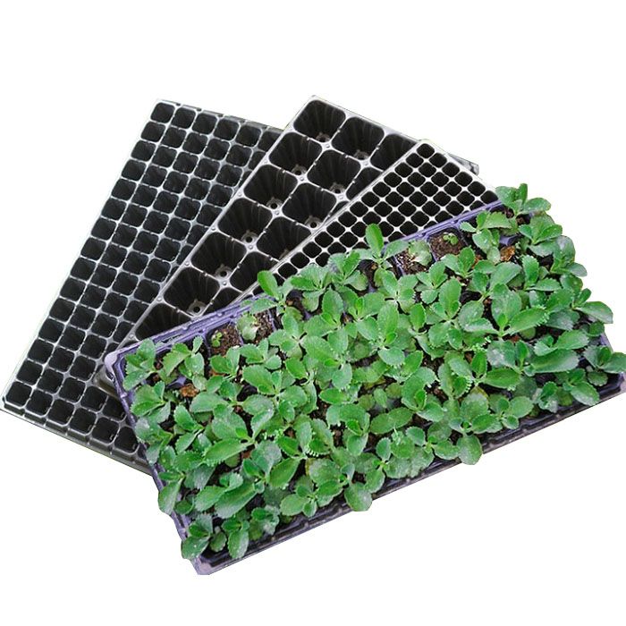 seedling planting trays - 288 holes - High quality and re usable trays