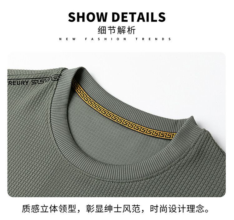 Top Sell Autumn New Round Neck Solid Color Non Pilling Sweater In Stock Casual Fashion Business Man   T-Shirts