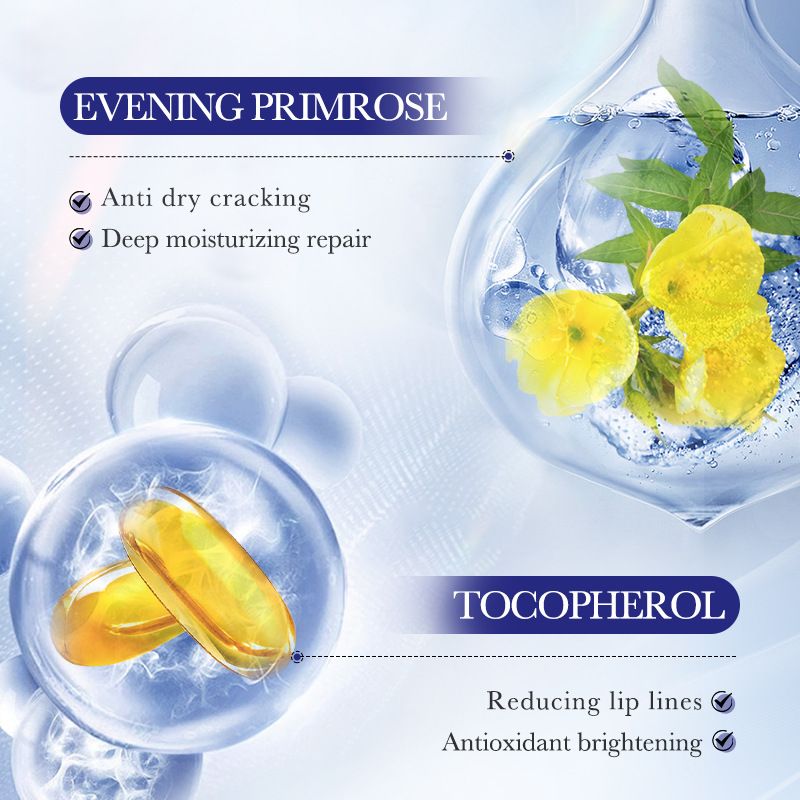 Evening Primrose Vitamin E Lip Balm – Prevents Chapping and Moisturizes Lips for Fall and Winter