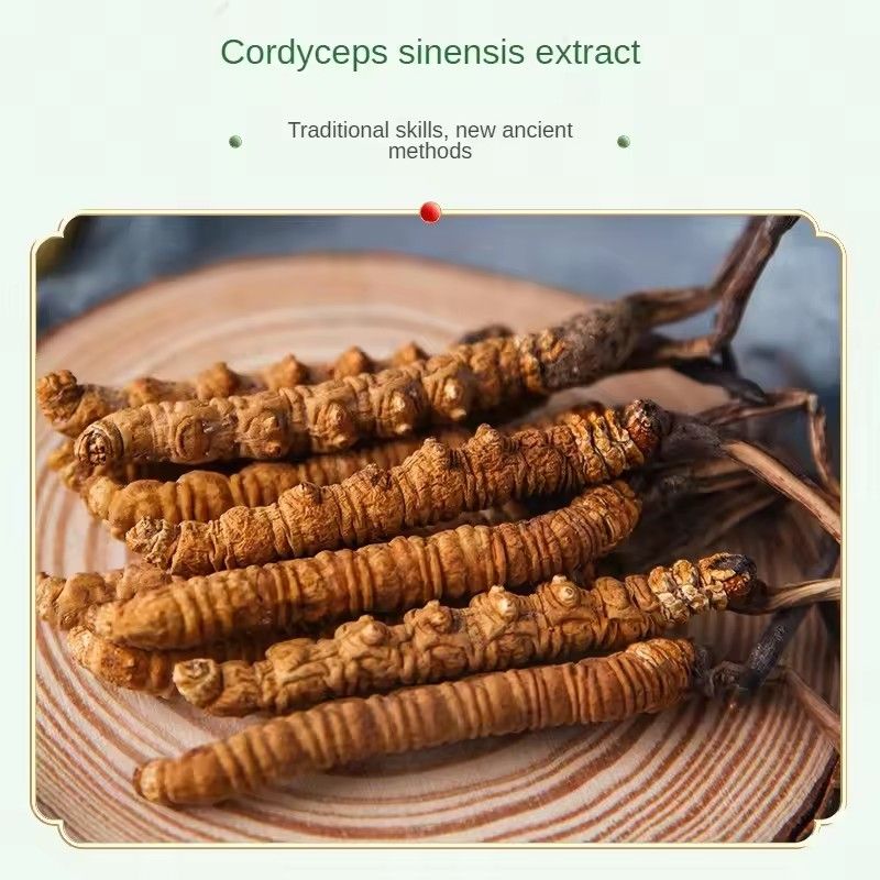 Cordyceps Sinensis Repair Eye Cream Firming Eye Cream Vitality Cream Lifting Moisturizing Remove Puffiness Dark Circles