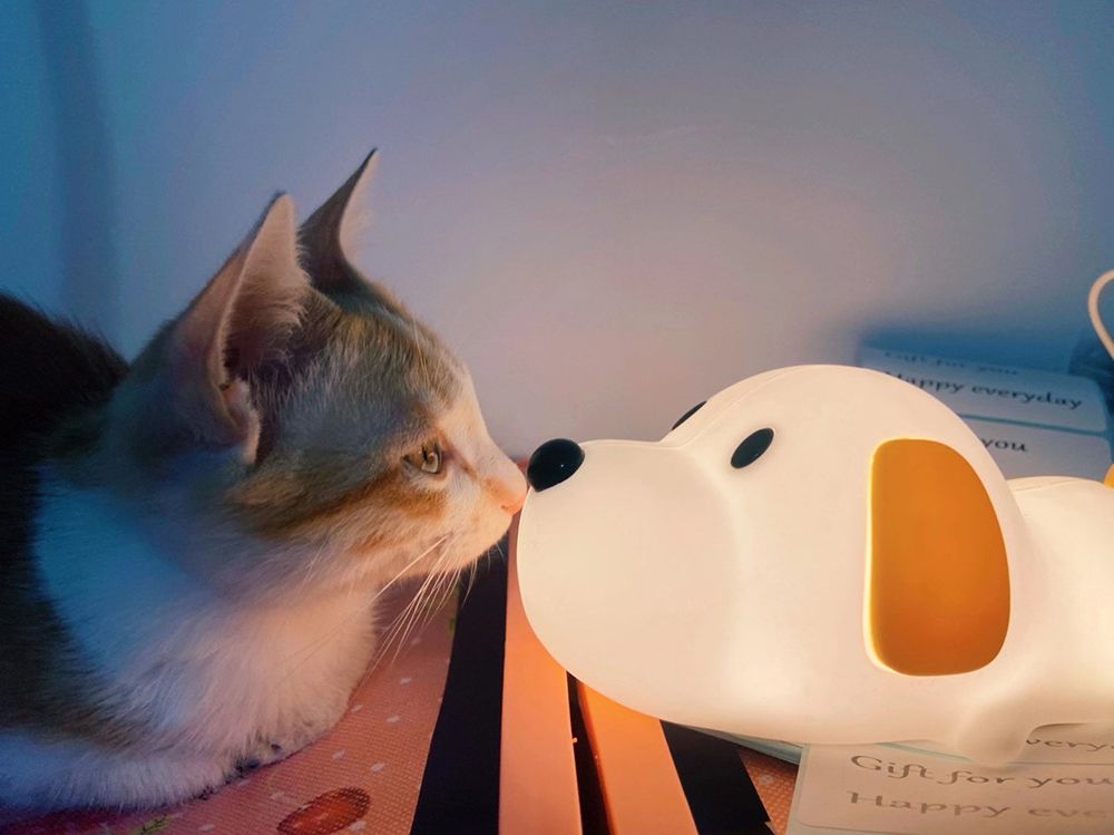 LED Kids Night Light, Cute Puppy Soft Silicone Baby Nursery Lamp-USB Rechargeable, Color Temperature and Brightness Adjustable, White and Warm can be Switched, Timing Function, Fabulous Ideal Gift