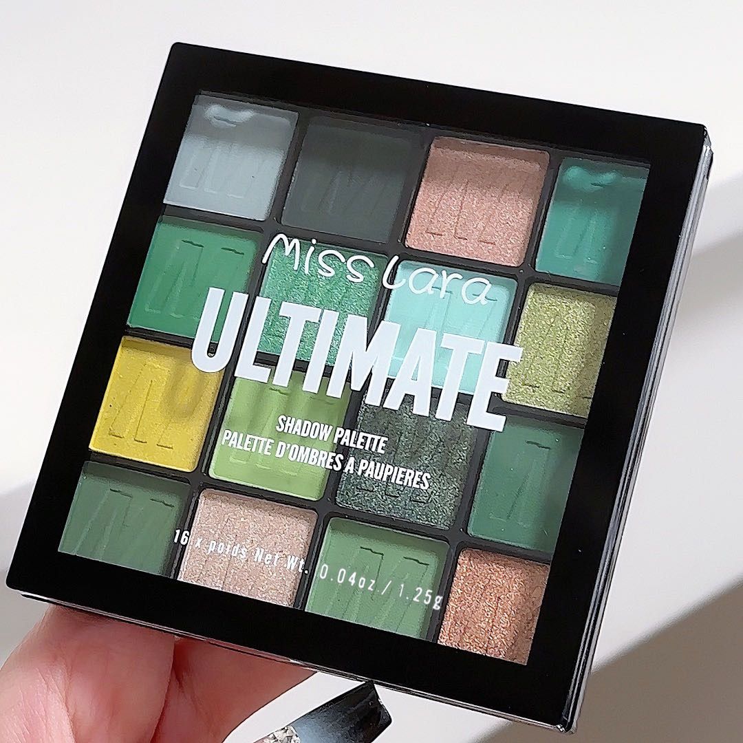 16 Color Eyeshadow Matte Pearlescent European and American Style Makeup Beginners Dazzle Colorful Eye Shadow Plate Ins Eyes Make Up Eyeshadow