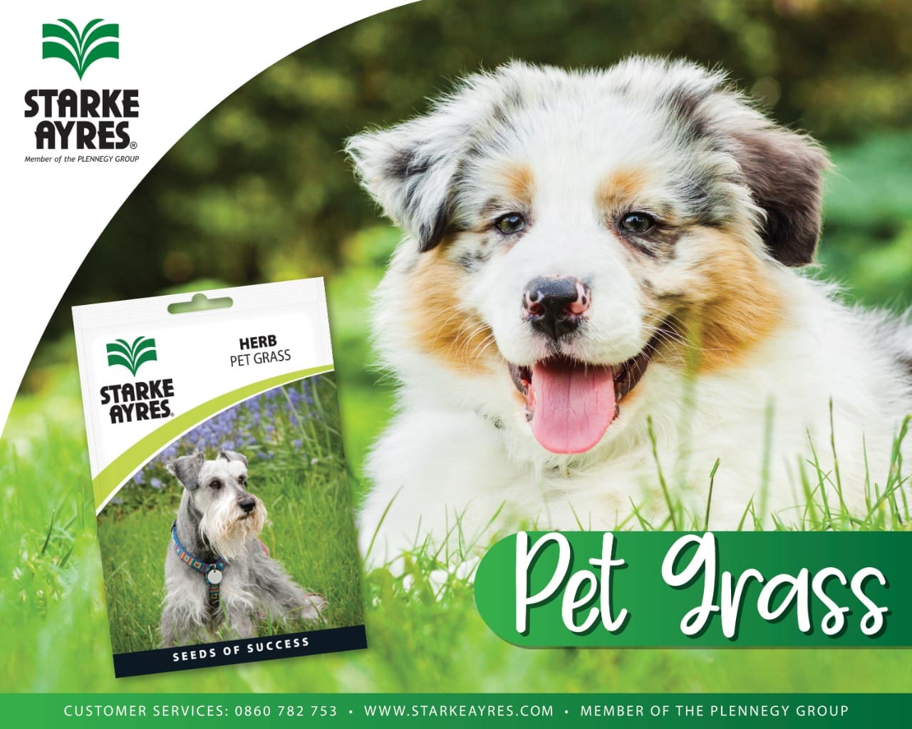 Starke Ayres Pet Grass Seeds Herb - Both Cats and Dogs Need Grass in their Diets