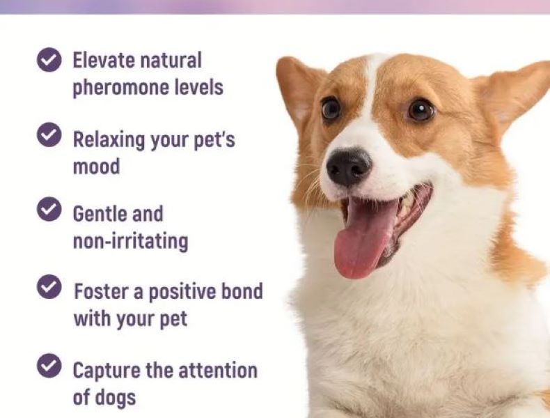 1pc Pet Perfume Premium Cologne 90ml - Natural Plant Ingredient - Deodorizer Spray Gentle On Skin Long-Lasting Scent Para Mascota Dog Cat Fragrance - Vanilla/Strawberry/Rose/Lavender/Pomegranate/Apple